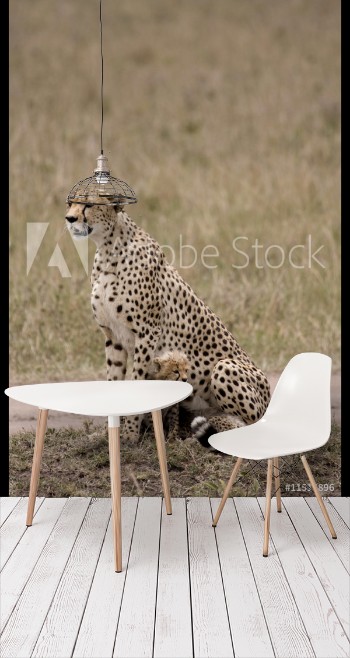 Picture of wet cheetah